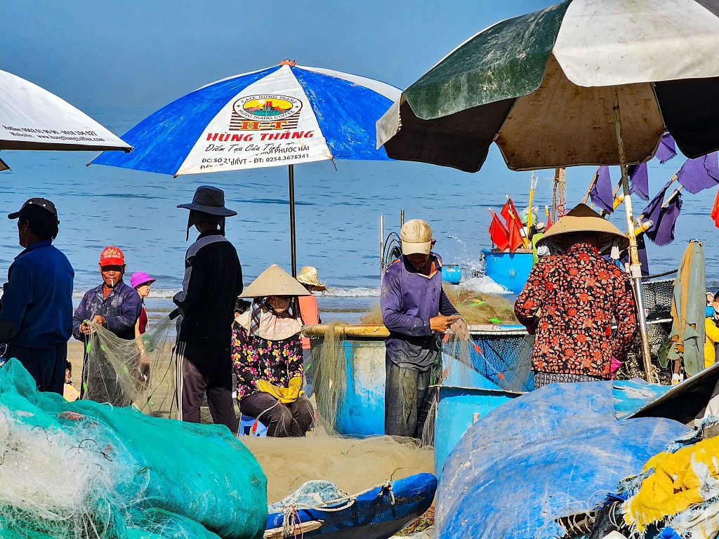 tuanlionsg20230618 074610tuanlionsg