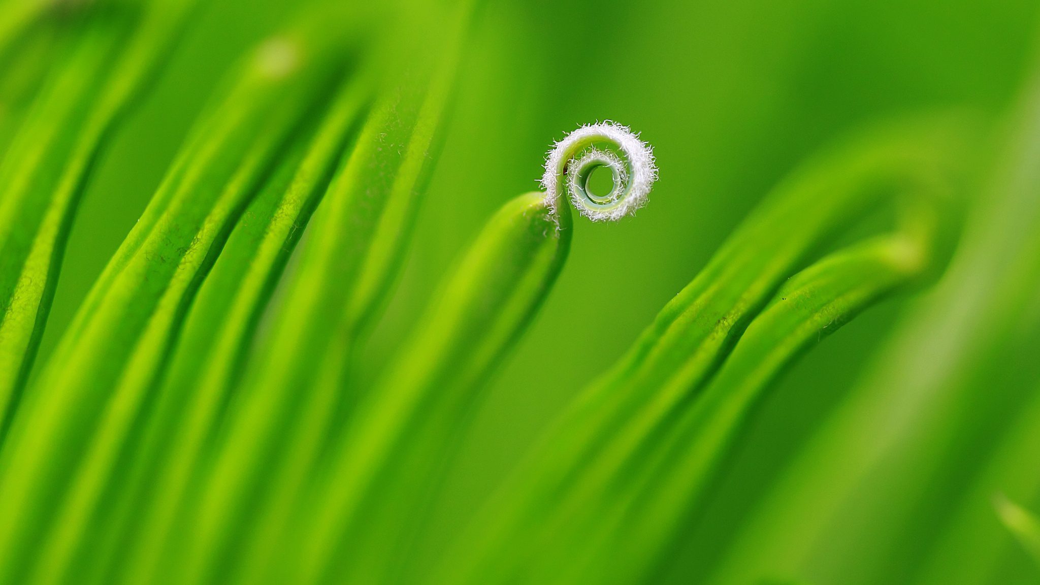 Độ "cuốn" của bức ảnh - P.1 6419915 Tuong phan 01ab