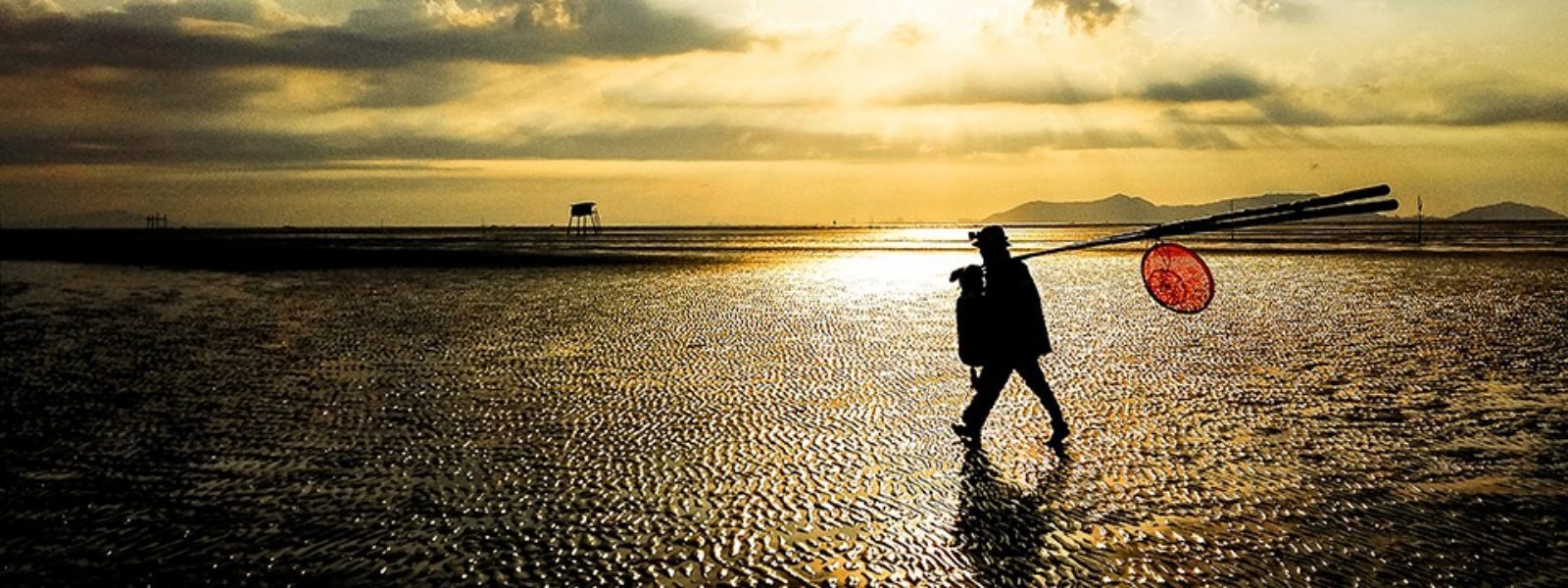 Ảnh "Silhouette" - Rất dễ chụp 5466850 85057595 1368962836639126 1761205761255407616 n 1