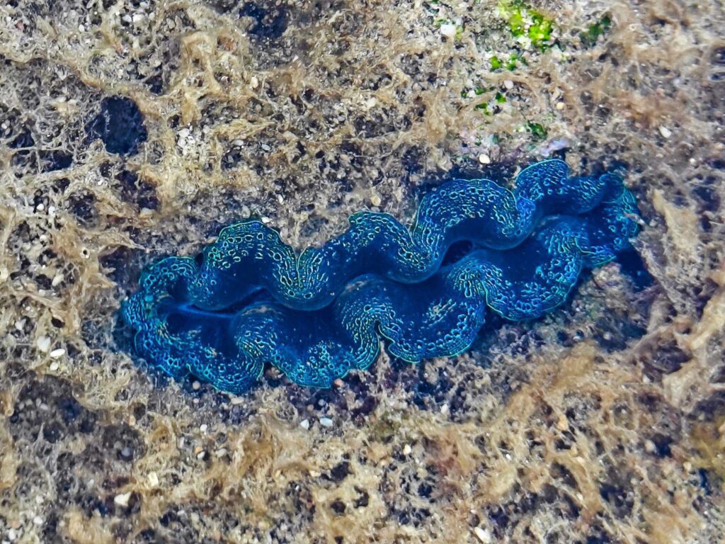 6433172 IMG 20230515 061101a