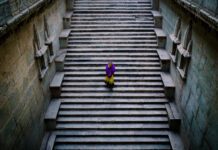 Chụp hình dọc đường lên Bhutan