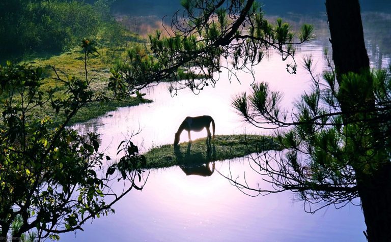 6 bố cục chụp ảnh phong cảnh – (2 bích)