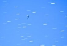 Quyền được c.h.ế.t?