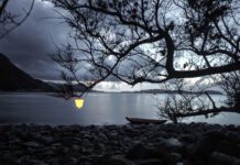 “con người” – ngươi là ai?